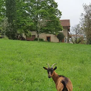  Appartamento Stirpe Nel Bosco - Fiocco